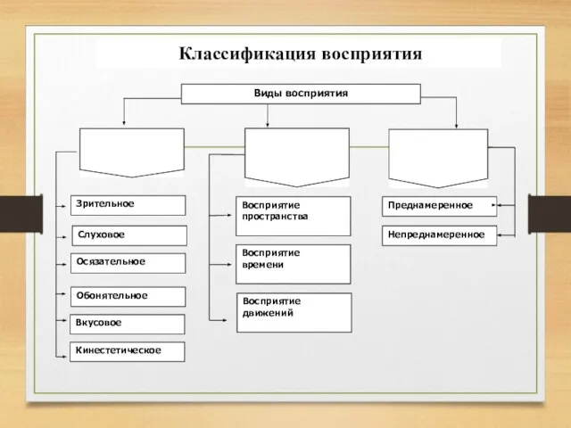 Классификация восприятия Слуховое Зрительное Восприятие времени Восприятие пространства Непреднамеренное Преднамеренное Кинестетическое Вкусовое