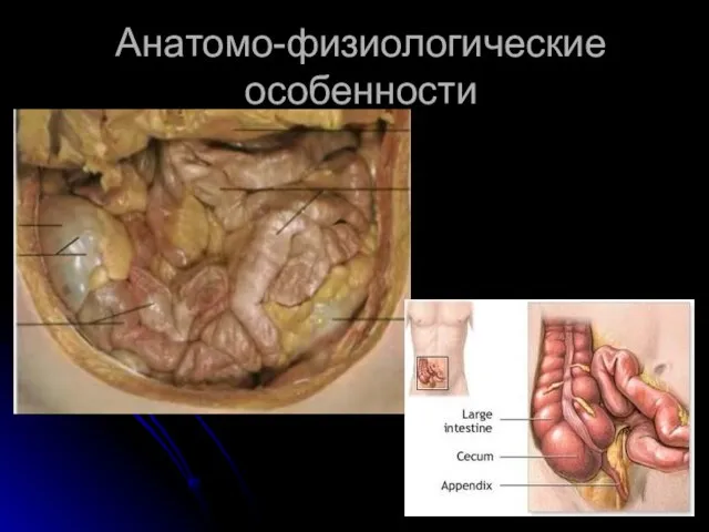 Анатомо-физиологические особенности