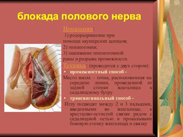 блокада полового нерва Показания: 1) родоразрешение при помощи акушерских щипцов; 2) эпизиотомия;