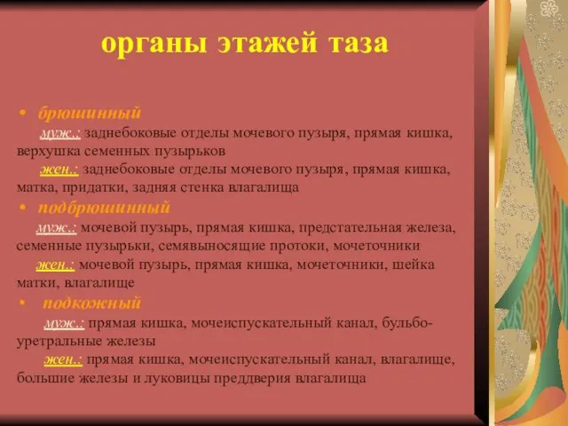 органы этажей таза брюшинный муж.: заднебоковые отделы мочевого пузыря, прямая кишка, верхушка