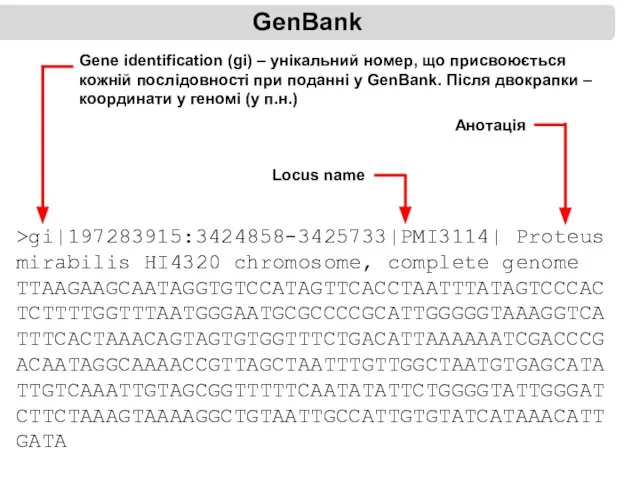 GenBank >gi|197283915:3424858-3425733|PMI3114| Proteus mirabilis HI4320 chromosome, complete genome TTAAGAAGCAATAGGTGTCCATAGTTCACCTAATTTATAGTCCCACTCTTTTGGTTTAATGGGAATGCGCCCCGCATTGGGGGTAAAGGTCATTTCACTAAACAGTAGTGTGGTTTCTGACATTAAAAAATCGACCCGACAATAGGCAAAACCGTTAGCTAATTTGTTGGCTAATGTGAGCATATTGTCAAATTGTAGCGGTTTTTCAATATATTCTGGGGTATTGGGATCTTCTAAAGTAAAAGGCTGTAATTGCCATTGTGTATCATAAACATTGATA Gene identification (gi)