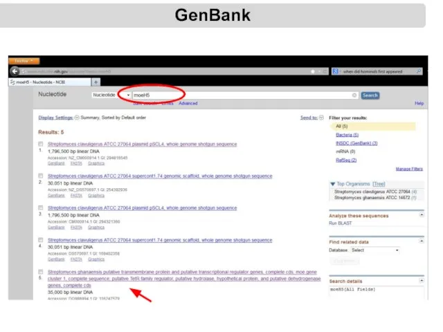 GenBank