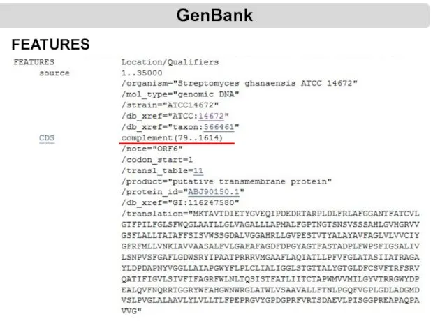 GenBank FEATURES