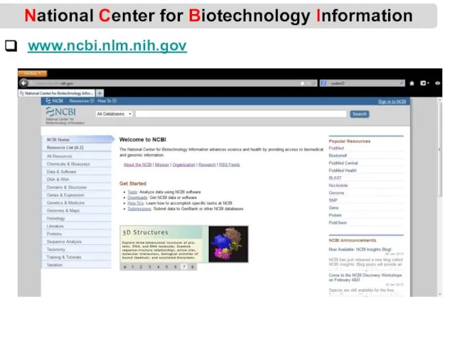 National Center for Biotechnology Information www.ncbi.nlm.nih.gov