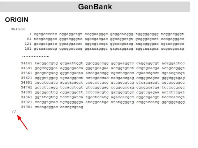 GenBank ORIGIN ……………..