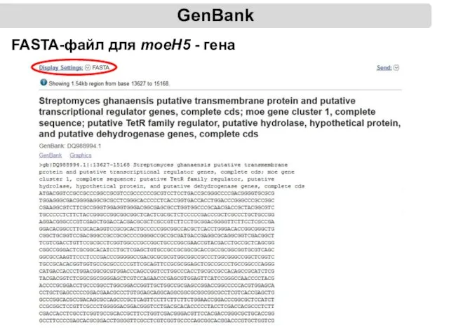GenBank FASTA-файл для moeH5 - гена