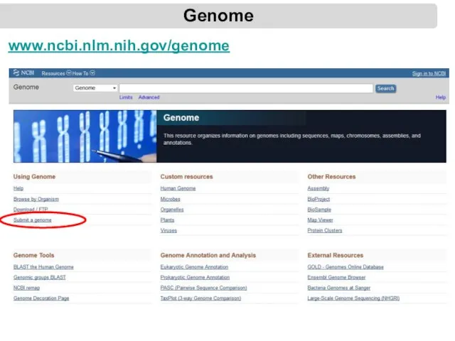 Genome www.ncbi.nlm.nih.gov/genome