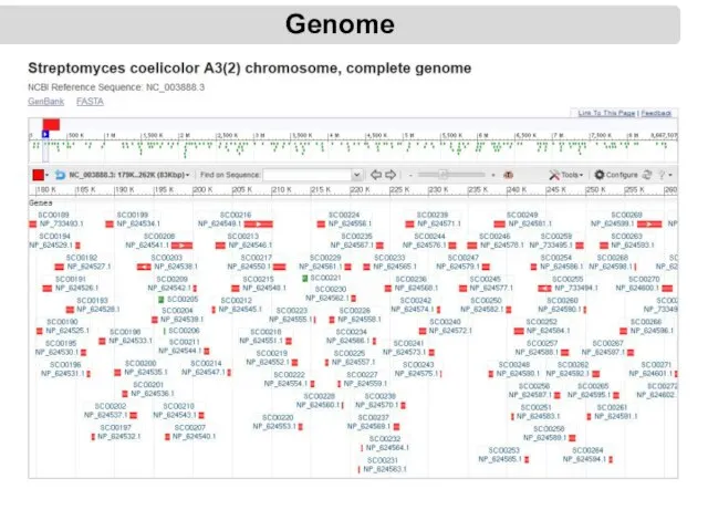 Genome
