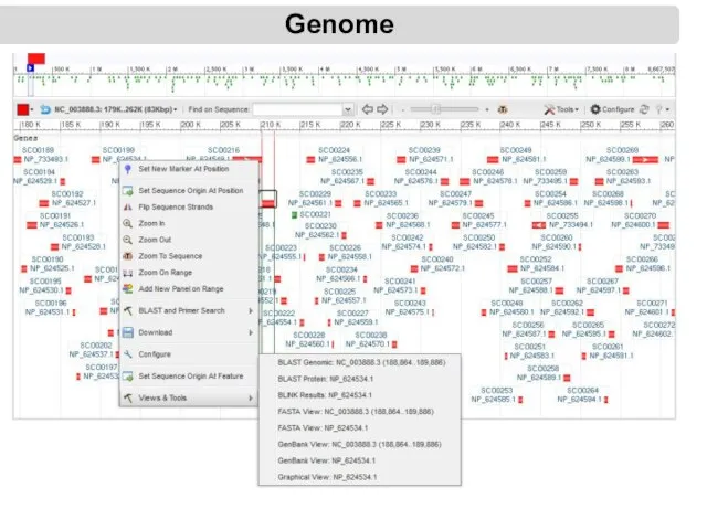 Genome