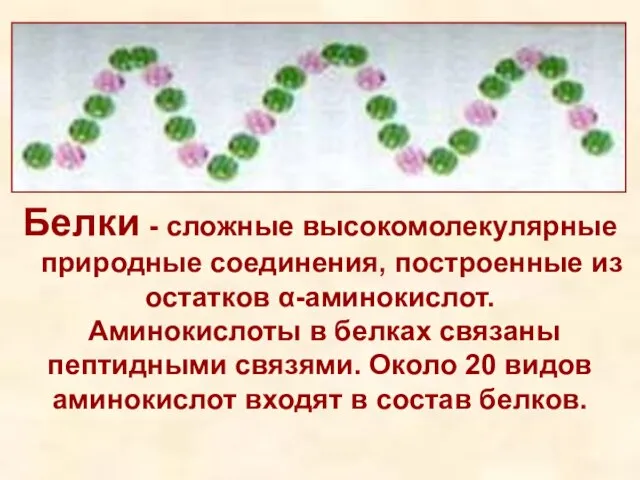 Белки - сложные высокомолекулярные природные соединения, построенные из остатков α-аминокислот. Аминокислоты в