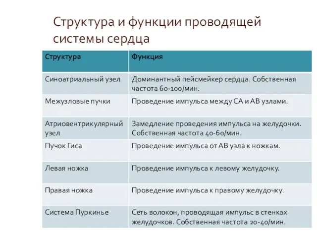 Структура и функции проводящей системы сердца