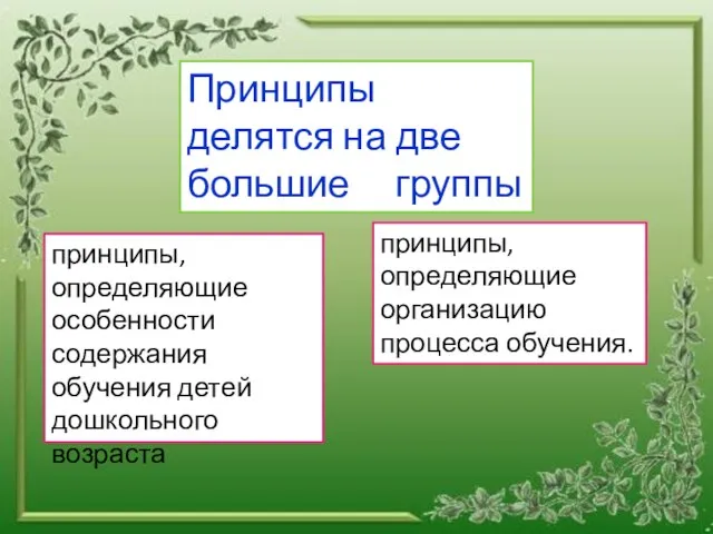 Принципы делятся на две большие группы принципы, определяющие особенности содержания обучения детей