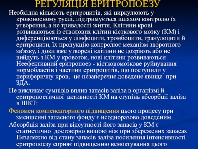 РЕГУЛЯЦІЯ ЕРИТРОПОЕЗУ Необхідна кількість еритроцитів, які циркулюють у кровоносному руслі, підтримується шляхом