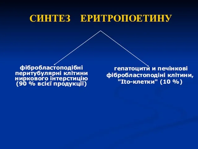 фібробластоподібні перитубулярні клітини ниркового інтерстицію(90 % всієї продукції) гепатоцити и печінкові фібробластоподіні