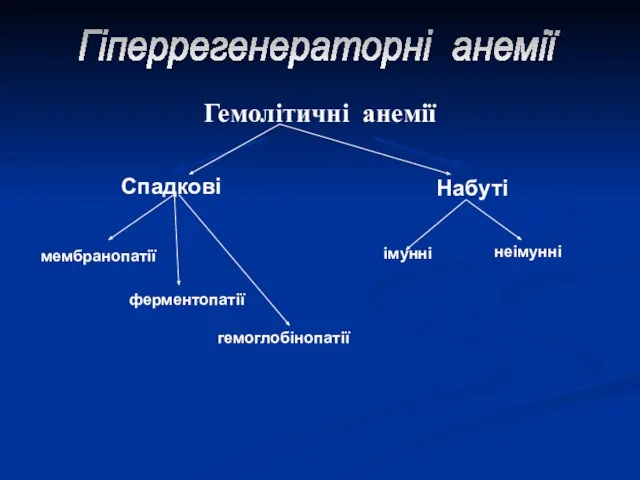 Спадкові Набуті Гіперрегенераторні анемії Гемолітичні анемії імунні неімунні мембранопатії ферментопатії гемоглобінопатії