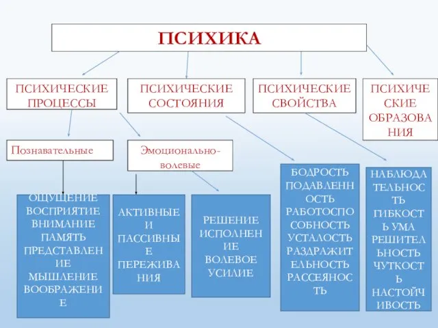 ПСИХИЧЕСКИЕ ОБРАЗОВАНИЯ ОЩУЩЕНИЕ ВОСПРИЯТИЕ ВНИМАНИЕ ПАМЯТЬ ПРЕДСТАВЛЕНИЕ МЫШЛЕНИЕ ВООБРАЖЕНИЕ АКТИВНЫЕ И ПАССИВНЫЕ