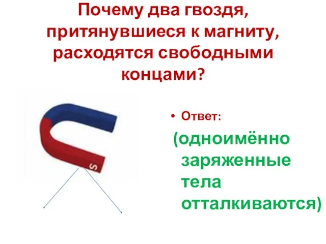 Почему два гвоздя, притянувшиеся к магниту, расходятся свободными концами? Ответ: (одноимённо заряженные тела отталкиваются)