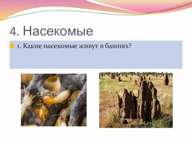 4. Насекомые 1. Какие насекомые живут в башнях?