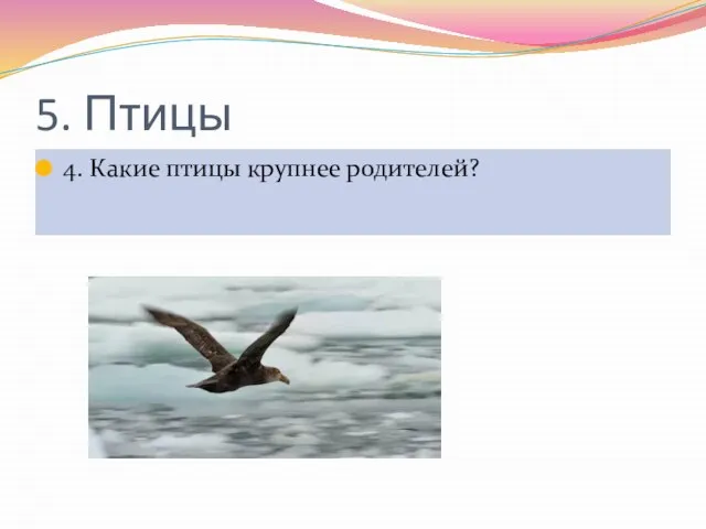 5. Птицы 4. Какие птицы крупнее родителей?