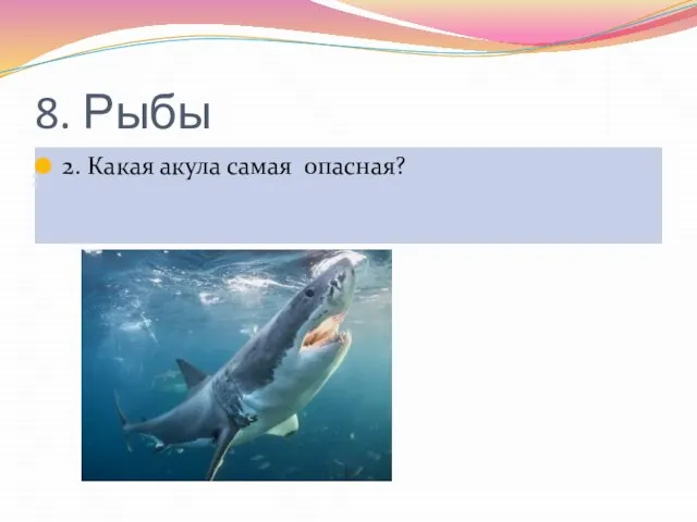 8. Рыбы 2. Какая акула самая опасная?