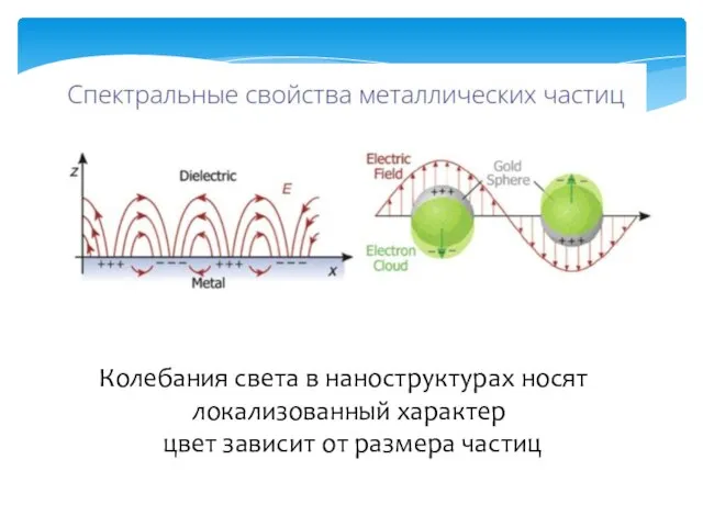 Колебания света в наноструктурах носят локализованный характер цвет зависит от размера частиц