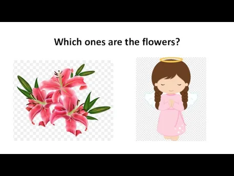 Which ones are the flowers?