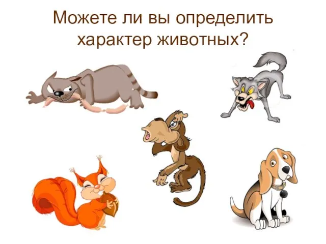 Можете ли вы определить характер животных?