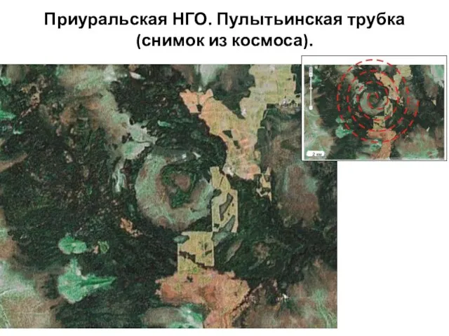 Приуральская НГО. Пулытьинская трубка (снимок из космоса).