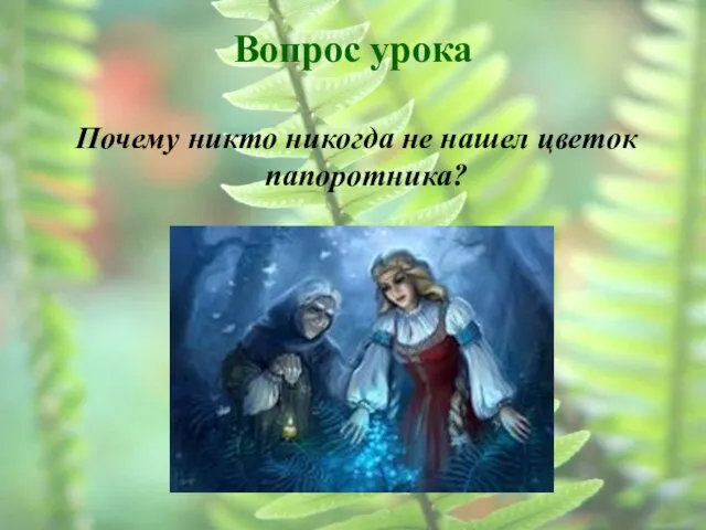 Вопрос урока Почему никто никогда не нашел цветок папоротника?