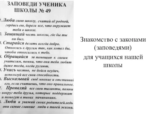 Знакомство с законами (заповедями) для учащихся нашей школы