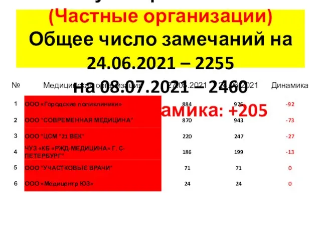 4 группа замечаний: Без амбулаторного этапа (Частные организации) Общее число замечаний на