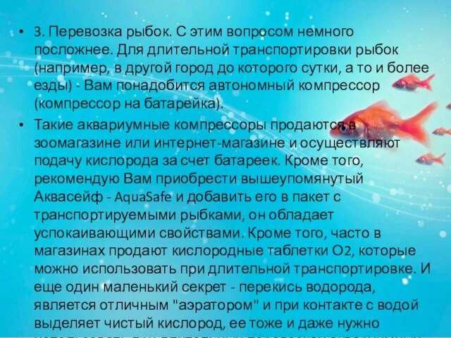 3. Перевозка рыбок. С этим вопросом немного посложнее. Для длительной транспортировки рыбок