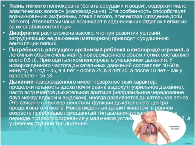 Ткань легкого полнокровна (богата сосудами и водой), содержит мало эластических волокон (маловоздушна).