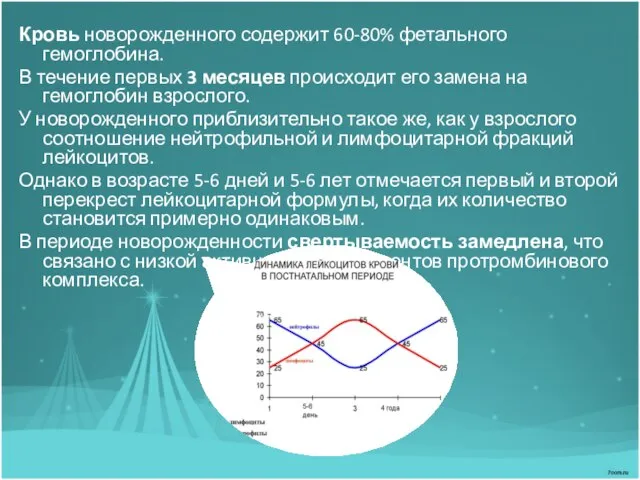 Кровь новорожденного содержит 60-80% фетального гемоглобина. В течение первых 3 месяцев происходит