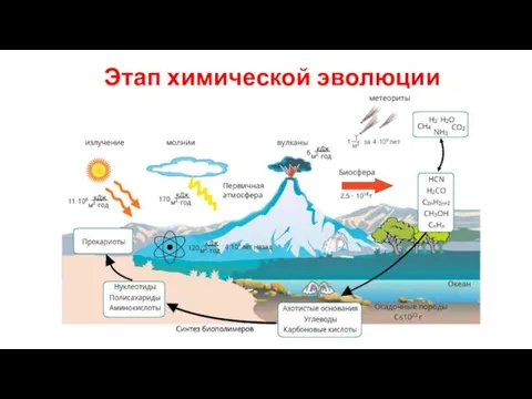 Этап химической эволюции