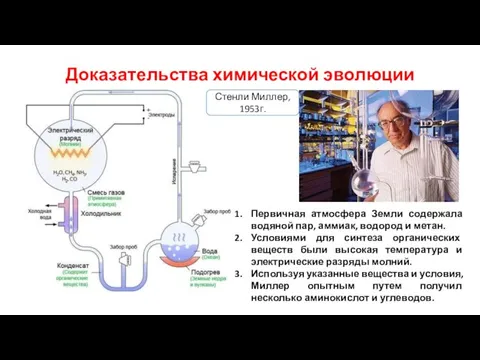 Доказательства химической эволюции Первичная атмосфера Земли содержала водяной пар, аммиак, водород и