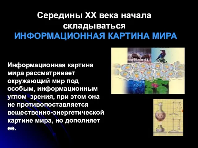 Середины XX века начала складываться ИНФОРМАЦИОННАЯ КАРТИНА МИРА Информационная картина мира рассматривает