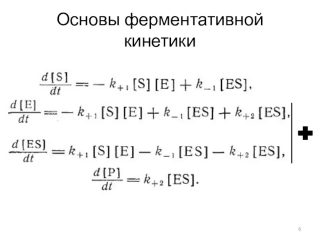 Основы ферментативной кинетики