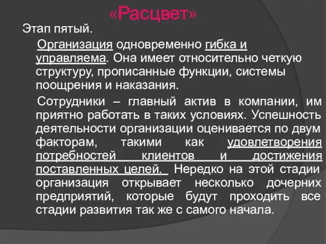 «Расцвет» Этап пятый. Организация одновременно гибка и управляема. Она имеет относительно четкую