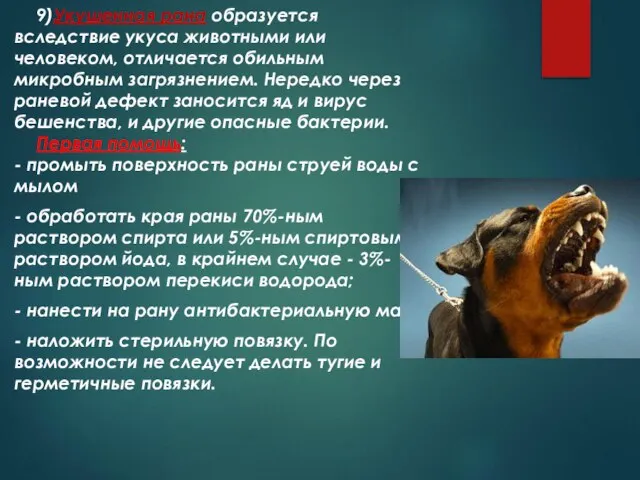 9)Укушенная рана образуется вследствие укуса животными или человеком, отличается обильным микробным загрязнением.