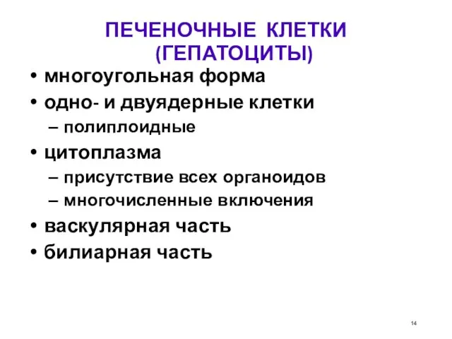 ПЕЧЕНОЧНЫЕ КЛЕТКИ (ГЕПАТОЦИТЫ)‏ многоугольная форма одно- и двуядерные клетки полиплоидные цитоплазма присутствие