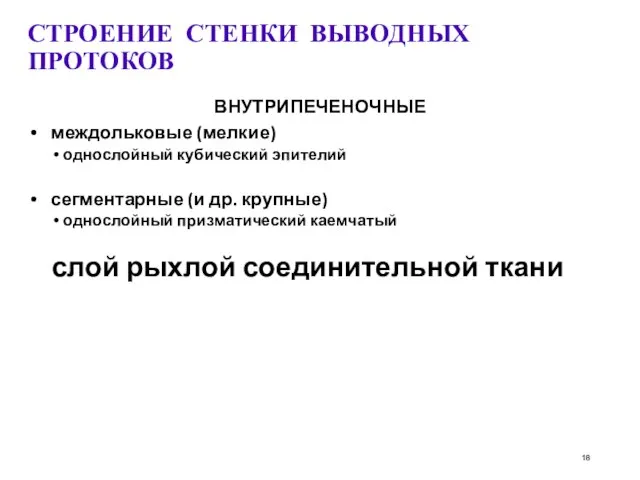 СТРОЕНИЕ СТЕНКИ ВЫВОДНЫХ ПРОТОКОВ ВНУТРИПЕЧЕНОЧНЫЕ междольковые (мелкие)‏ однослойный кубический эпителий сегментарные (и