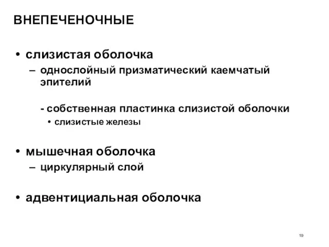 ВНЕПЕЧЕНОЧНЫЕ слизистая оболочка однослойный призматический каемчатый эпителий - собственная пластинка слизистой оболочки