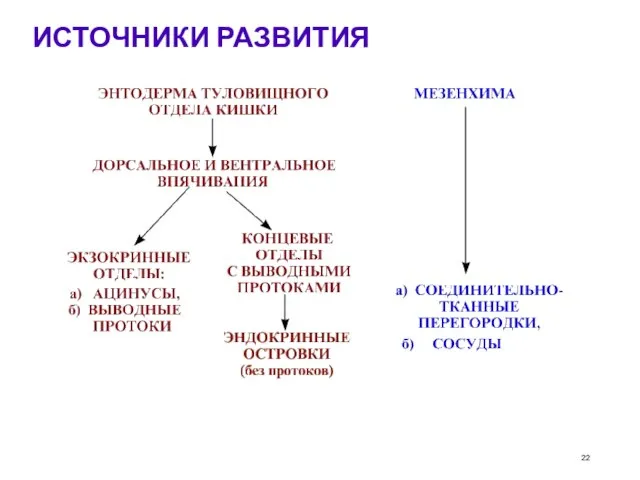 ИСТОЧНИКИ РАЗВИТИЯ