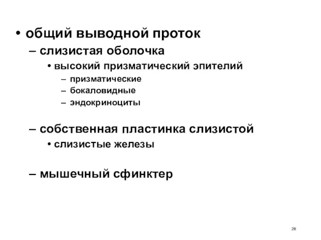 общий выводной проток слизистая оболочка высокий призматический эпителий призматические бокаловидные эндокриноциты собственная