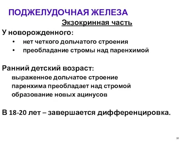 ПОДЖЕЛУДОЧНАЯ ЖЕЛЕЗА Экзокринная часть У новорожденного: нет четкого дольчатого строения преобладание стромы