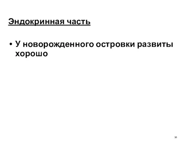 Эндокринная часть У новорожденного островки развиты хорошо