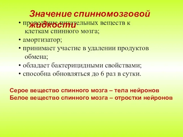 проведение питательных веществ к клеткам спинного мозга; амортизатор; принимает участие в удалении