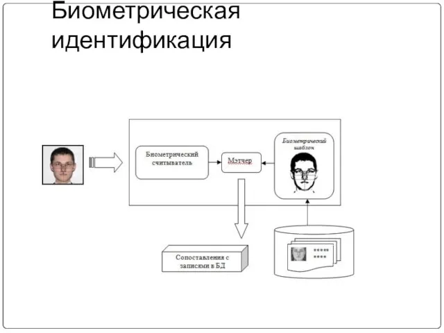 Биометрическая идентификация