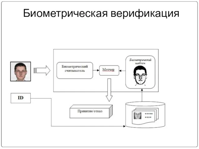 Биометрическая верификация